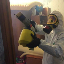 Уничтожение клопов в квартире. Калтан